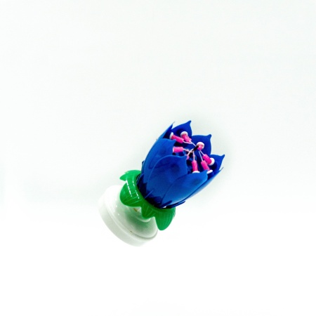 Floare Muzicala